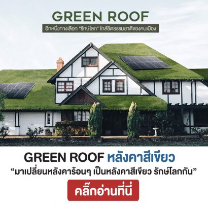 Green-Roof-หลังคาสีเขียว-รักษ์โลก