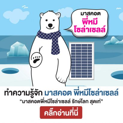 มาสคอต-พี่หมีโซล่าเซลล์-Mascot