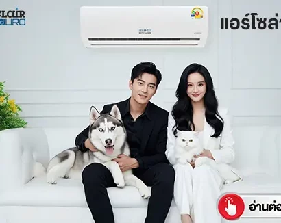 1ติดแอร์โซล่าเซลล์-ให้น้องหมา-พี่หมีโซล่าเซลล์