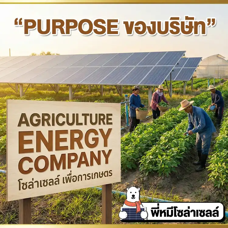 Purpose บริษัทพี่หมีโซล่าเซลล์ 