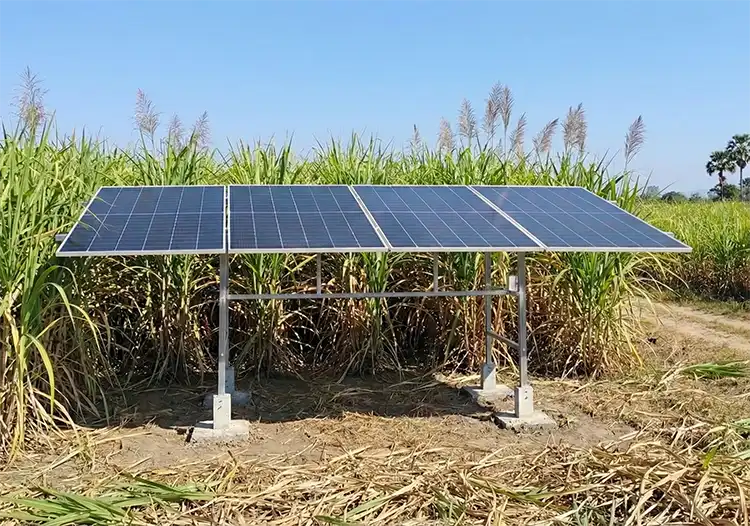 แผงโซล่าเซลล์แฮนดูโร่-ติดตั้งกลางไร่อ้อย